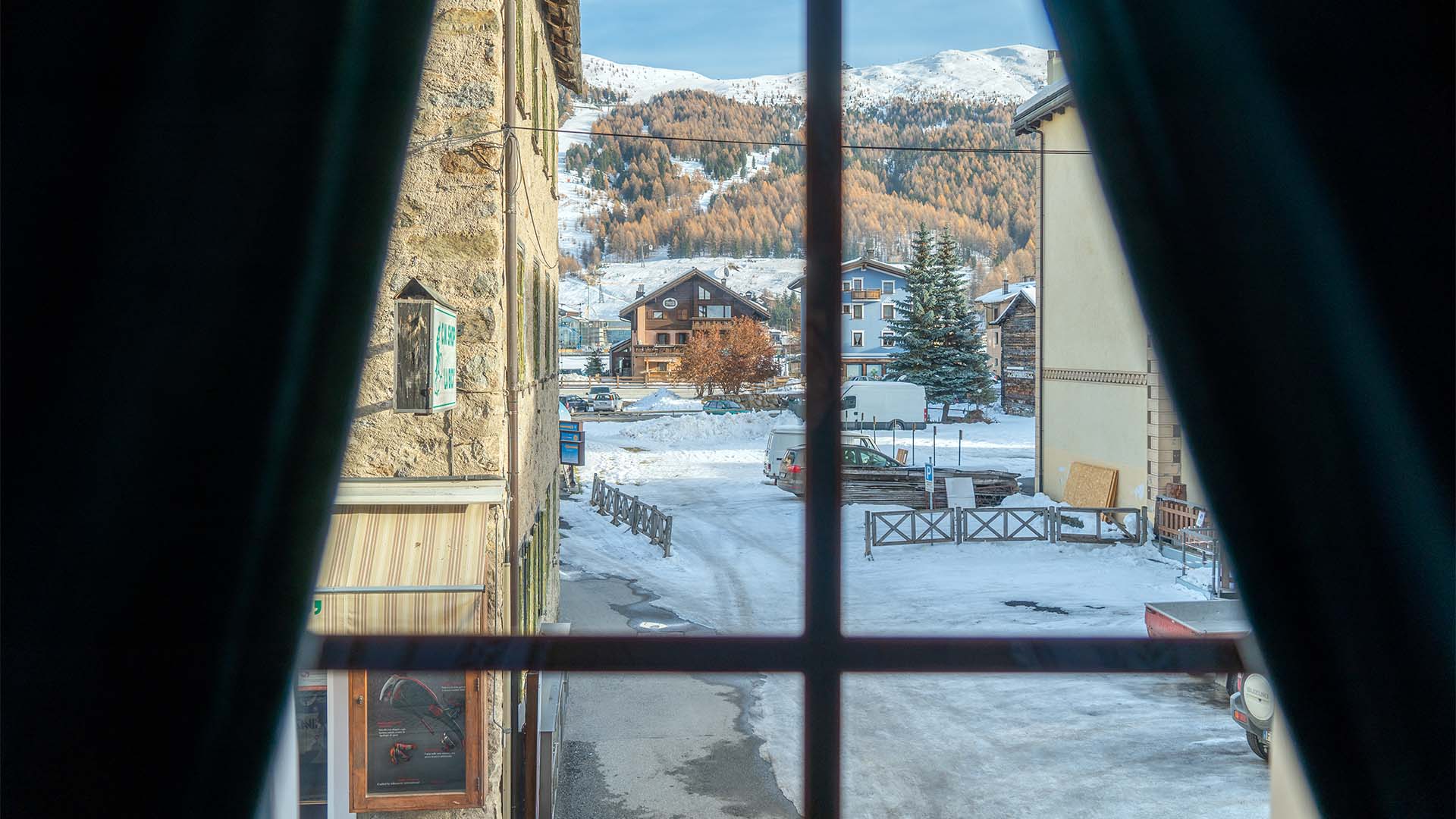Botia View